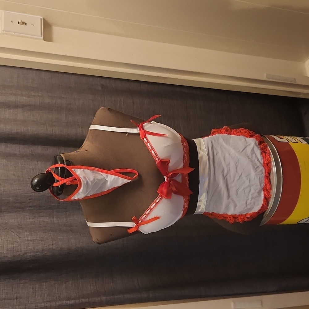 Sexy nurse bra, tie skirt apron and thong